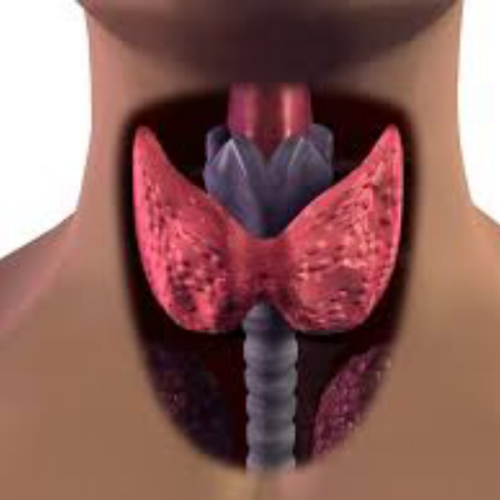 Хвороби щитовидної залози - гіпертиреоз та гіпотиреоз, причини та симптоми